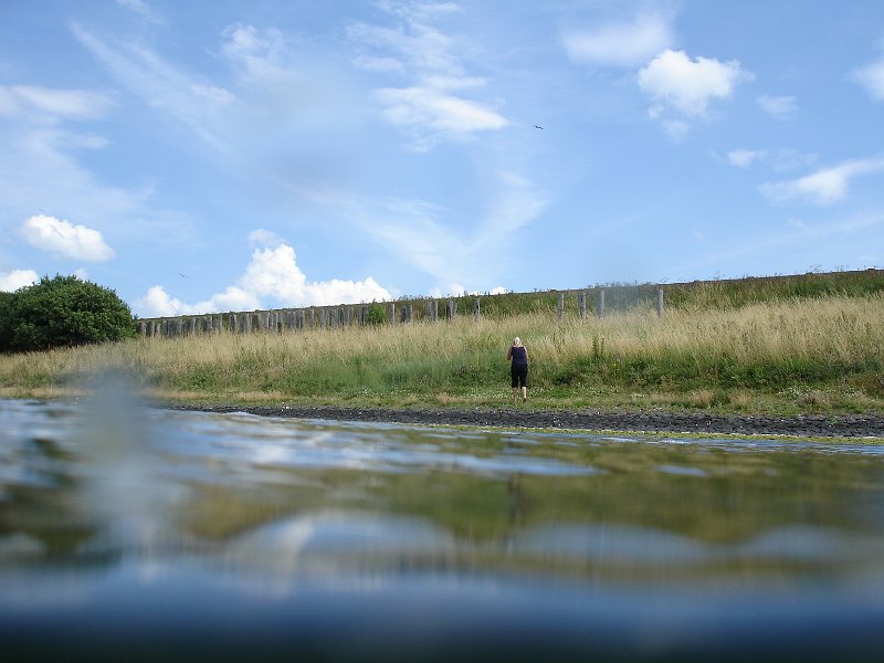 2012-07-07 15-28-26 Ludo.JPG